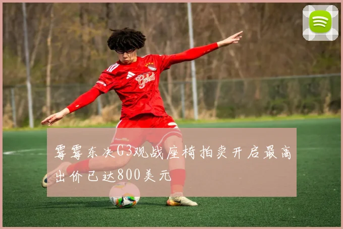 霉霉东决G3观战座椅拍卖开启最高出价已达800美元